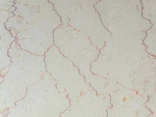 Shell Beige